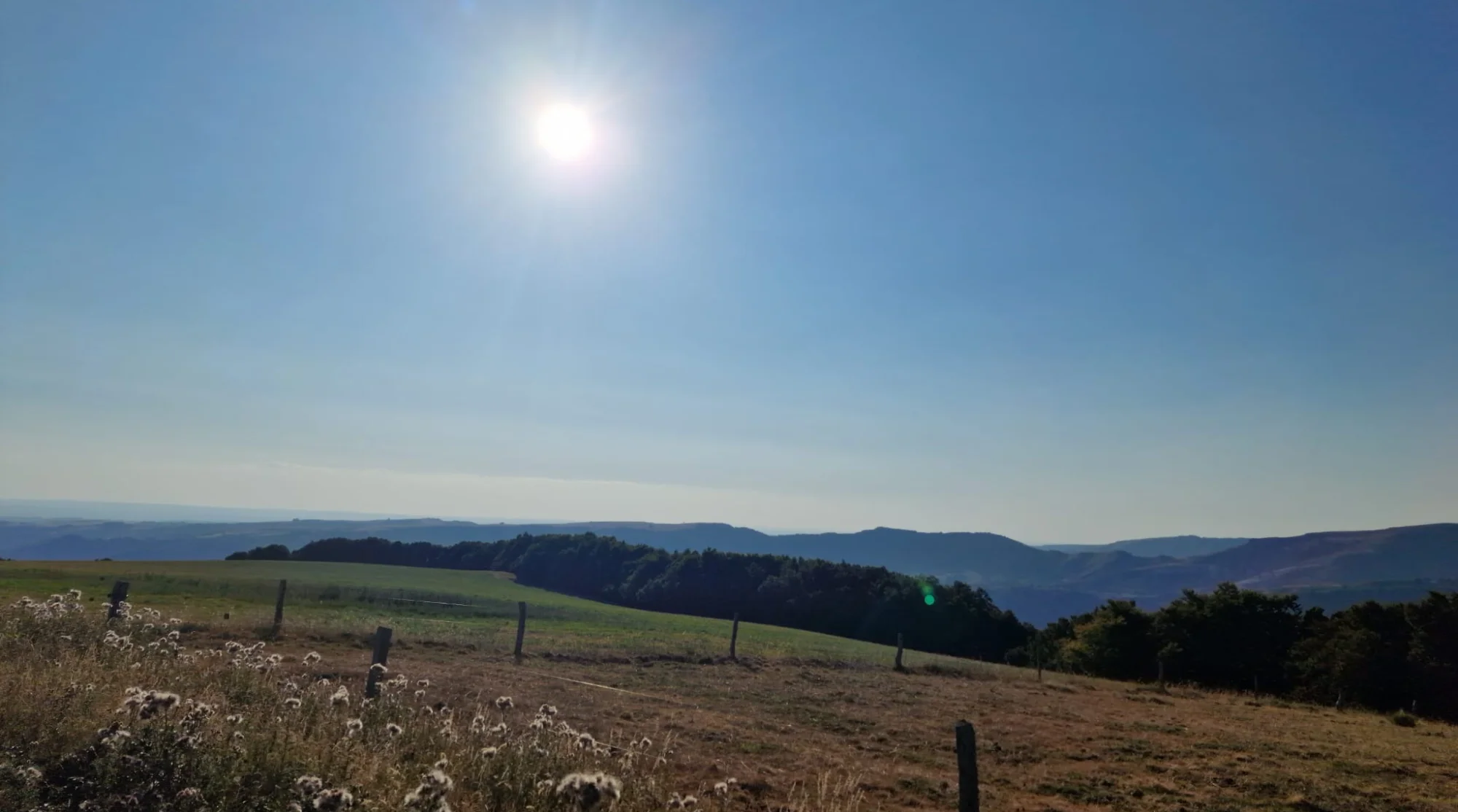 paysage avec un ciel bleu et un soleil